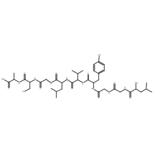 921202-62-2结构式