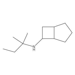 rac-(1R,5R)-N-(2-methylbutan-2-yl)bicyclo[3.2.0]heptan-6-amine Structure