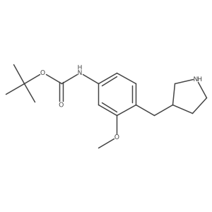 tert-butyl N-{3-methoxy-4-[(pyrrolidin-3-yl)methyl]phenyl}carbamate Structure
