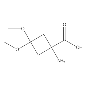 1-Amino-3,3-dimethoxycyclobutane-1-carboxylic acid Structure