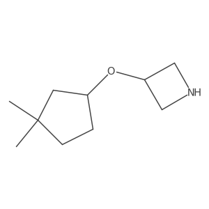 3-[(3,3-Dimethylcyclopentyl)oxy]azetidine结构式