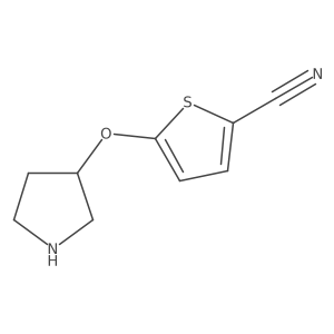 5-(Pyrrolidin-3-yloxy)thiophene-2-carbonitrile Structure
