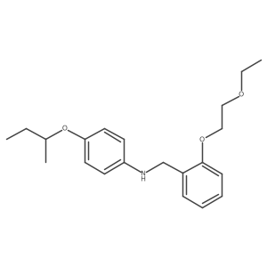 N-[4-(Sec-butoxy)phenyl]-N-[2-(2-ethoxyethoxy)-benzyl]amine结构式