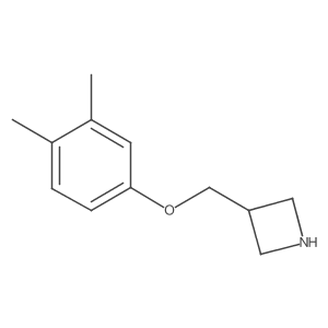 3-[(3,4-Dimethylphenoxy)methyl]azetidine Structure