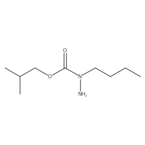 N-butyl(2-methylpropoxy)carbohydrazide结构式