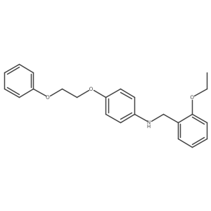 N-(2-Ethoxybenzyl)-4-(2-phenoxyethoxy)aniline Structure