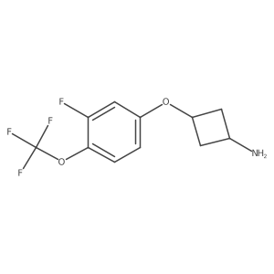 Rel-(1r,3r)-3-(3-fluoro-4-(trifluoromethoxy)phenoxy)cyclobutan-1-amine Structure