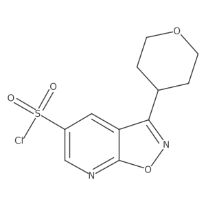 1955506-71-4 structure