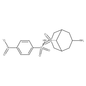 N-{7-amino-3,3-dioxo-3lambda6-thiabicyclo[3.3.1]nonan-9-yl}-4-nitrobenzene-1-sulfonamide Structure