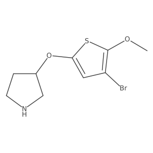 3-[(4-Bromo-5-methoxythiophen-2-yl)oxy]pyrrolidine Structure