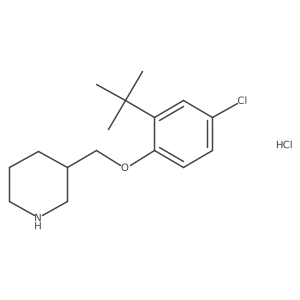 3-{[2-(Tert-butyl)-4-chlorophenoxy]-methyl}piperidine hydrochloride Structure