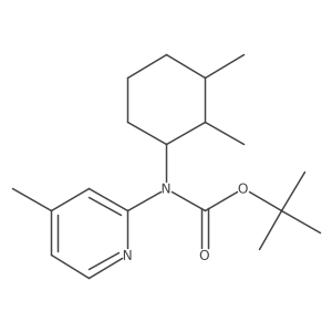 Tert-butyl N-(2,3-dimethylcyclohexyl)-N-(4-methylpyridin-2-yl)carbamate结构式