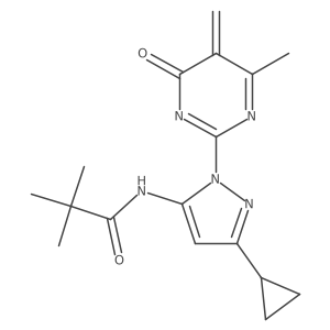 N-[5-cyclopropyl-2-(4-methyl-5-methylidene-6-oxopyrimidin-2-yl)pyrazol-3-yl]-2,2-dimethylpropanamide Structure