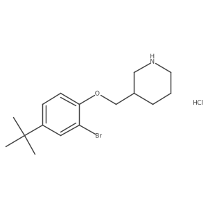2-Bromo-4-(tert-butyl)phenyl 3-piperidinylmethyl ether hydrochloride Structure