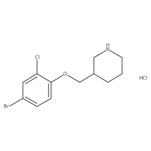 1220033-41-9 structure