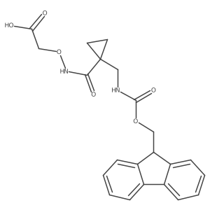 2172476-91-2结构式