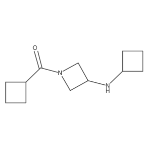 1-cyclobutanecarbonyl-N-cyclobutylazetidin-3-amine结构式