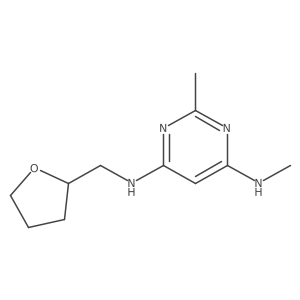 N4,2-dimethyl-N6-((tetrahydrofuran-2-yl)methyl)pyrimidine-4,6-diamine Structure