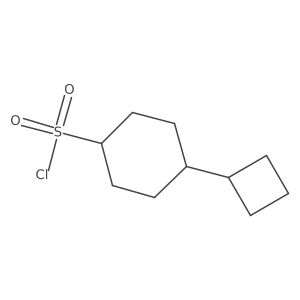4-Cyclobutylcyclohexane-1-sulfonyl chloride结构式