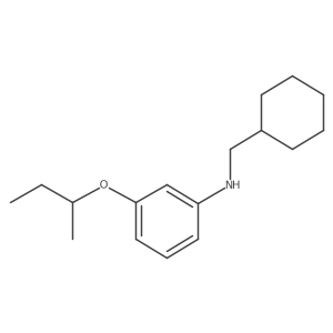 3-(Sec-butoxy)-N-(cyclohexylmethyl)aniline结构式