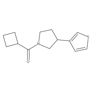 1-Cyclobutanecarbonyl-3-(thiophen-3-yl)pyrrolidine结构式