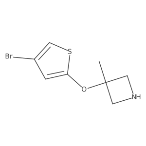 3-[(4-Bromothiophen-2-yl)oxy]-3-methylazetidine Structure