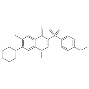 6-Fluoro-3-(4-methoxybenzenesulfonyl)-1-methyl-7-(morpholin-4-yl)-1,4-dihydroquinolin-4-one Structure