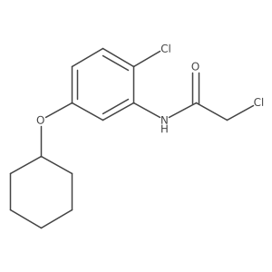 2-Chloro-N-[2-chloro-5-(cyclohexyloxy)phenyl]acetamide Structure