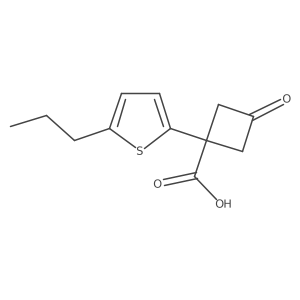 3-Oxo-1-(5-propylthiophen-2-yl)cyclobutane-1-carboxylic acid结构式