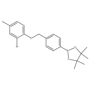 2-[4-[(2-Bromo-4-methyl-phenoxy)methyl]phenyl]-4,4,5,5-tetramethyl-1,3,2-dioxaborolane结构式