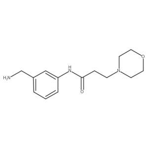 N-[3-(aminomethyl)phenyl]-3-(morpholin-4-yl)propanamide结构式