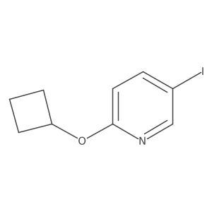 2163205-70-5 structure