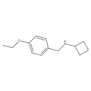 N-[(4-ethoxyphenyl)methyl]cyclobutanamine结构式