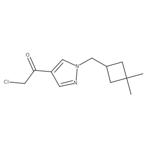 2-chloro-1-{1-[(3,3-dimethylcyclobutyl)methyl]-1H-pyrazol-4-yl}ethan-1-one Structure