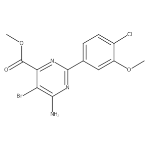 1136962-21-4 structure