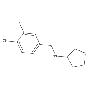 N-[(4-chloro-3-methylphenyl)methyl]thiolan-3-amine Structure
