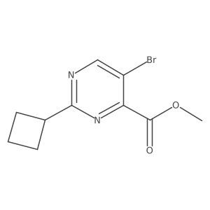 1978359-95-3 structure