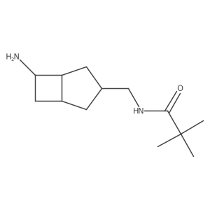 N-({6-aminobicyclo[3.2.0]heptan-3-yl}methyl)-2,2-dimethylpropanamide Structure